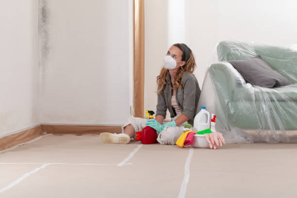 Trusted Mold Inspection service in Newaygo, MI - WQB Mold Removal